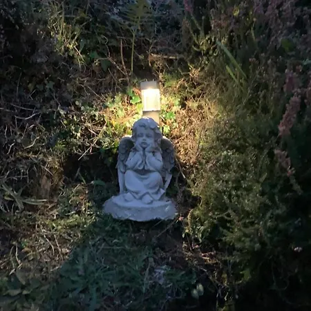 Blue Pearl Апартаменты Даунингс