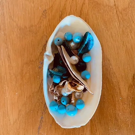 アパート Blue Pearl ダウニングス