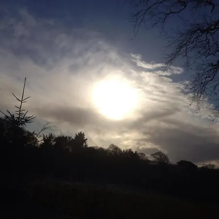 Blue Pearl Apartman Downings