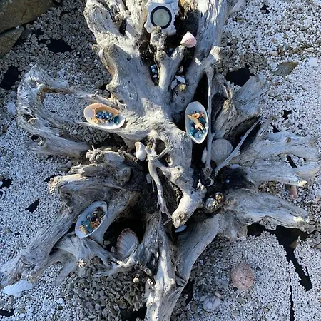 Апартаменты Blue Pearl *