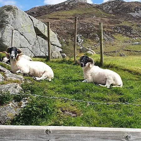 Апартаменты Blue Pearl