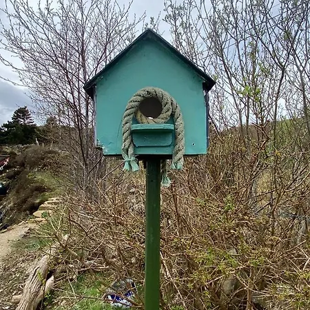 アパート Blue Pearl *