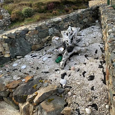 Blue Pearl アパート ダウニングス