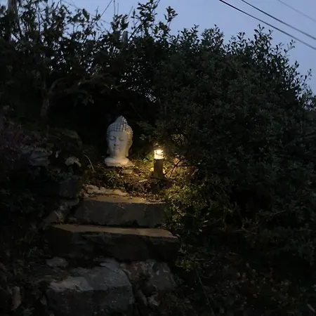 アパート Blue Pearl ダウニングス