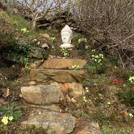 Blue Pearl Даунингс