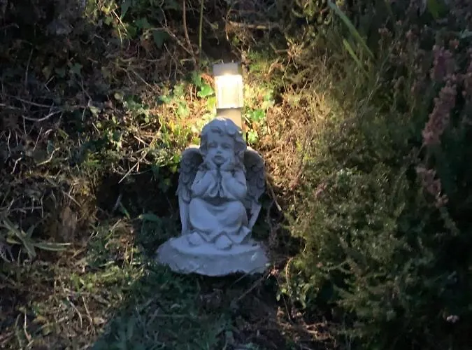 Blue Pearl Appartamento Downings