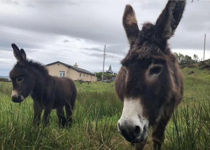 Blue Pearl * Downings