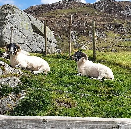 Appartamento Blue Pearl