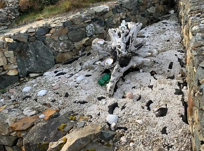 Blue Pearl Appartamento Downings