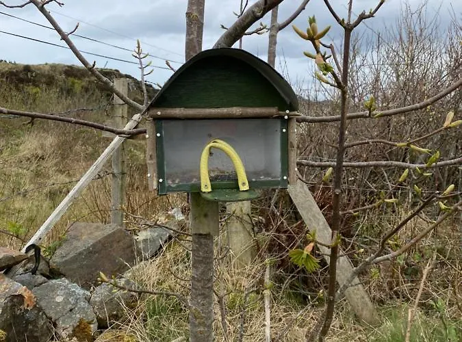 Blue Pearl * Downings